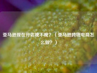 亚马逊现在开店晚不晚？（亚马逊跨境电商怎么做？）