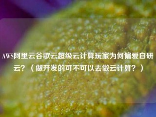 AWS阿里云谷歌云超级云计算玩家为何偏爱自研云？（做开发的可不可以去做云计算？）