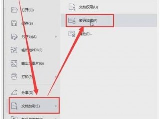 wps怎么设置密码？（wps加密码怎么设置，WPS怎么加密码）