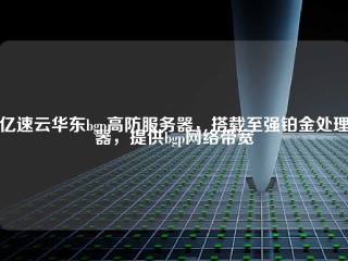 亿速云华东bgp高防服务器，搭载至强铂金处理器，提供bgp网络带宽