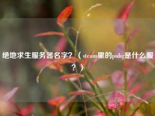 绝地求生服务器名字？(STEAM里的绝地求生是什么服？)