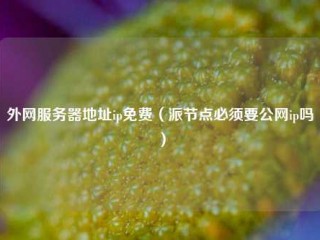 外网服务器地址ip免费（派节点必须要公网ip吗）