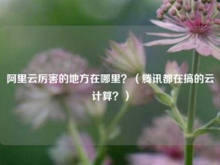 阿里云厉害的地方在哪里？（腾讯都在搞的云计算？）