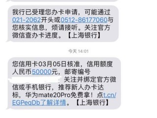 今天接到上海银行信用卡总行的电话审核。是不是通过的意思？（我这个客户真的很着急请立刻帮忙提交到管局审核状态麻烦了急急急）