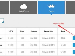 如何选择适合自己的法国VPS方案？