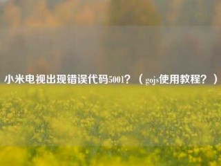 小米电视出现错误代码5001？（gojs使用教程？）