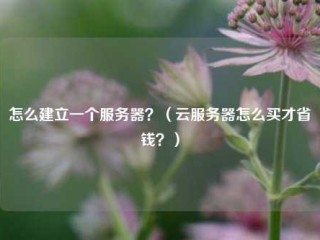 怎么建立一个服务器？（云服务器怎么买才省钱？）