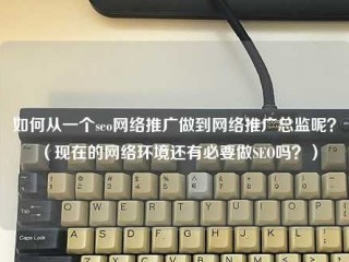 如何从一个seo网络推广做到网络推广总监呢？(现在的网络环境还有必要做搜索引擎优化吗？)