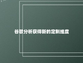 谷歌分析获得新的定制维度