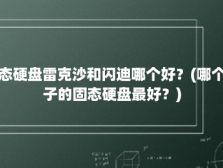 固态硬盘雷克沙和闪迪哪个好？(哪个牌子的固态硬盘最好？)