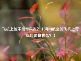 飞机上能不能带果冻？（海南航空的飞机上可以自带食物么？）