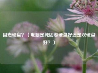 固态硬盘？（电脑是纯固态硬盘好还是双硬盘好？）