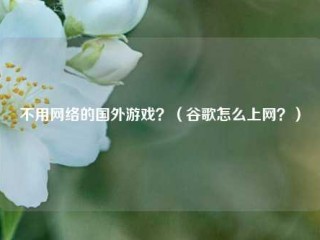 不用网络的国外游戏？（谷歌怎么上网？）