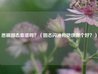 悉硕固态靠谱吗？（固态闪迪和铠侠哪个好？）