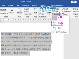 首字下沉2个字符怎么设置？（首字下沉怎么设置2010，word2010中怎样首两个字下沉）