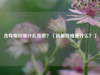 含导电纤维什么意思？(抗菌纤维是什么？)