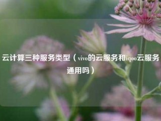 云计算三种服务类型（vivo的云服务和iqoo云服务通用吗）