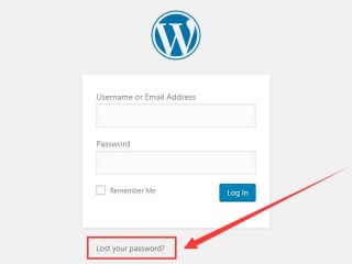 wordpress修改登录入口(源码编辑器怎么修改账号密码？)