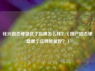 铨兴固态硬盘这个品牌怎么样？（国产固态硬盘哪个品牌质量好？）