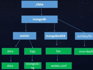 mongodb怎么创建数据库