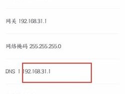 电信改dns地址(dns1和dns2怎么填网速快又稳定？)