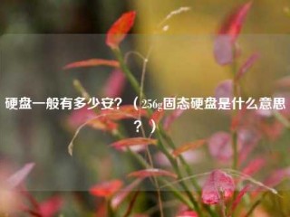 硬盘一般有多少安？（256g固态硬盘是什么意思？）