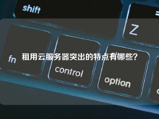 租用云服务器突出的特点有哪些？