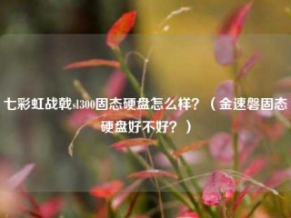 七彩虹战戟sl300固态硬盘怎么样？（金速磐固态硬盘好不好？）