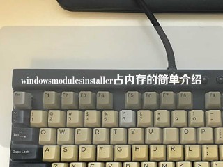 windowsmodulesinstaller占内存的简单介绍