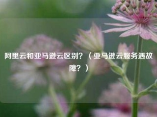 阿里云和亚马逊云区别？（亚马逊云服务遇故障？）