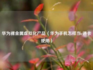 华为裸金属虚拟化产品（华为手机怎样当e通卡使用）