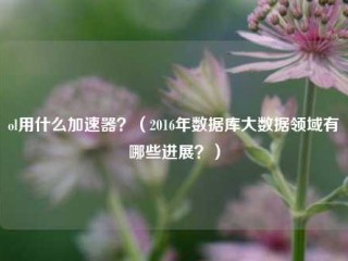 ol用什么加速器？（2016年数据库大数据领域有哪些进展？）