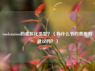 工作站的虚拟化类型？(有什么节约费用的建议吗？)