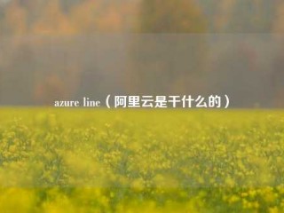 azure line（阿里云是干什么的）