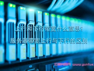 服务器端带宽是什么?（服务器端带宽是什么意思)