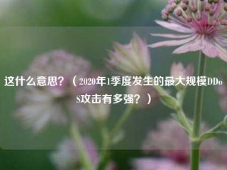 这什么意思？（2020年1季度发生的最大规模DDoS攻击有多强？）