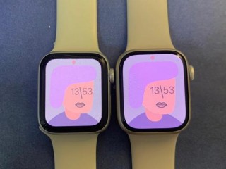 apple watch 蜂窝版与普通版有什么区别