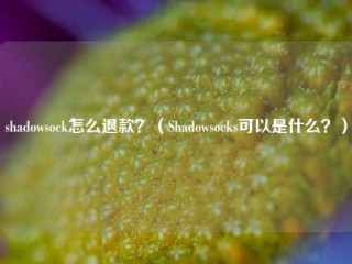 shadowsock怎么退款？（Shadowsocks可以是什么？）