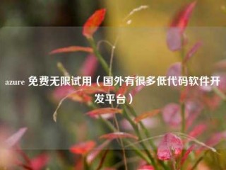 azure 免费无限试用（国外有很多低代码软件开发平台）