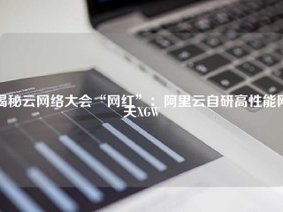 揭秘云网络大会“网红”：阿里云自研高性能网关XGW