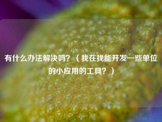 有什么办法解决吗？（我在找能开发一些单位的小应用的工具？）