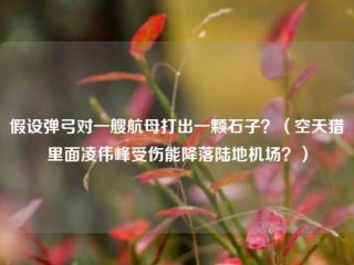 假设弹弓对一艘航母打出一颗石子？(空天猎里面凌伟峰受伤能降落陆地机场？)