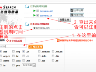 网站域名和网站url,网站查询域名入口 （网站域名怎么查找）