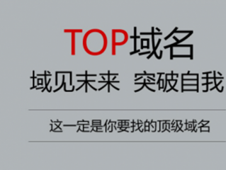 top域名代表什么意思？（top服务器）