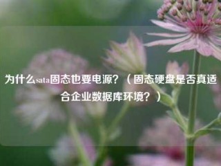 为什么sata固态也要电源？（固态硬盘是否真适合企业数据库环境？）