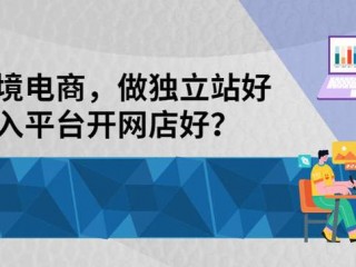 网店怎么建设,跨境网店建设与维护