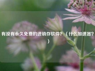 有没有永久免费的进销存软件？（什么加速器？）