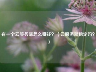 有一个云服务器怎么赚钱？（云服务器稳定吗？）