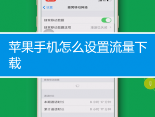 苹果手机怎么设置流量显示？（苹果怎么设置流量）