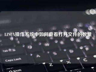 LINUX操作系统中如何查看打开文件的数量